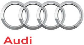Audi 4s0-035-454 Genuine Speaker