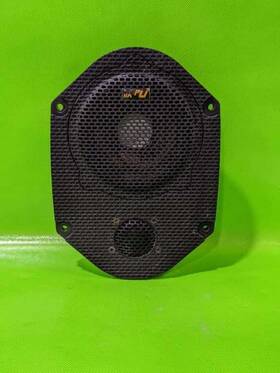 3w4t18808va Ford 05-09 Mustang Passenger Right Front Door Speaker Oem 4469-11