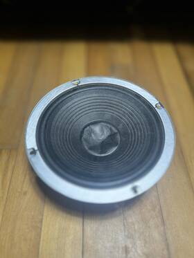 20pl179s Thrusters Woofer
