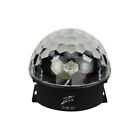 Zyb32 Nippon Zebra Led Magic 809198923760