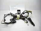 2008-2013 Nissan Rogue Right Front Door Wiring Harness 24124 JM00A Oem. Fixed Price $20.92.