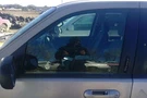 Driver Left Front Door Glass Fits 02-10 Explorer 614582. Fixed Price $99.99.