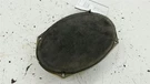 Dodge Avenger Speaker Left Rear 2010 2011 2012 2013 2014 Oem. Fixed Price $22.91.