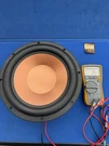 Speaker Only For Klipsch RW-10D 120V Digitally Controlled Subwoofer. Fixed Price $69.30.