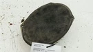 Dodge Avenger Speaker Right Passenger Rear Back Oem 2010 2011 2012 2013 2014. Fixed Price $22.91.