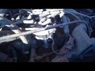 Distributor 8-460 Fits 90-95 Ford E350 Van 601142. Fixed Price $69.00.